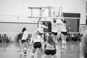 NCAA division 2 college volleyball